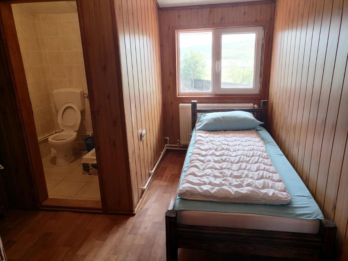 Hôtel La Elvetian à Iasi Extérieur photo